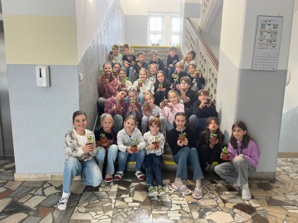 5.B proti podzimním nemocem s rýmovníkem