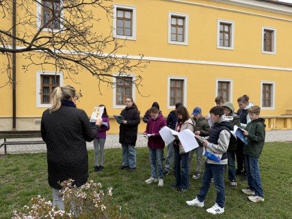 Určování stromů v laboratorním semináři