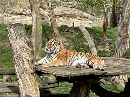 Den Země v Zoo Lešná očima páťáků